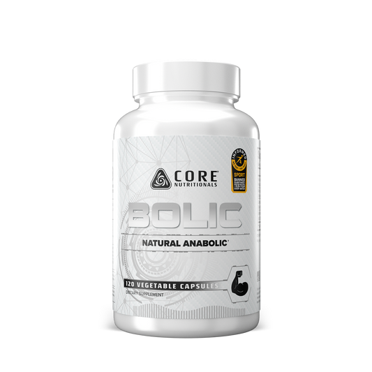 Bolic v2