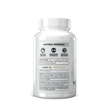 Bolic V2 ($15 OFF)